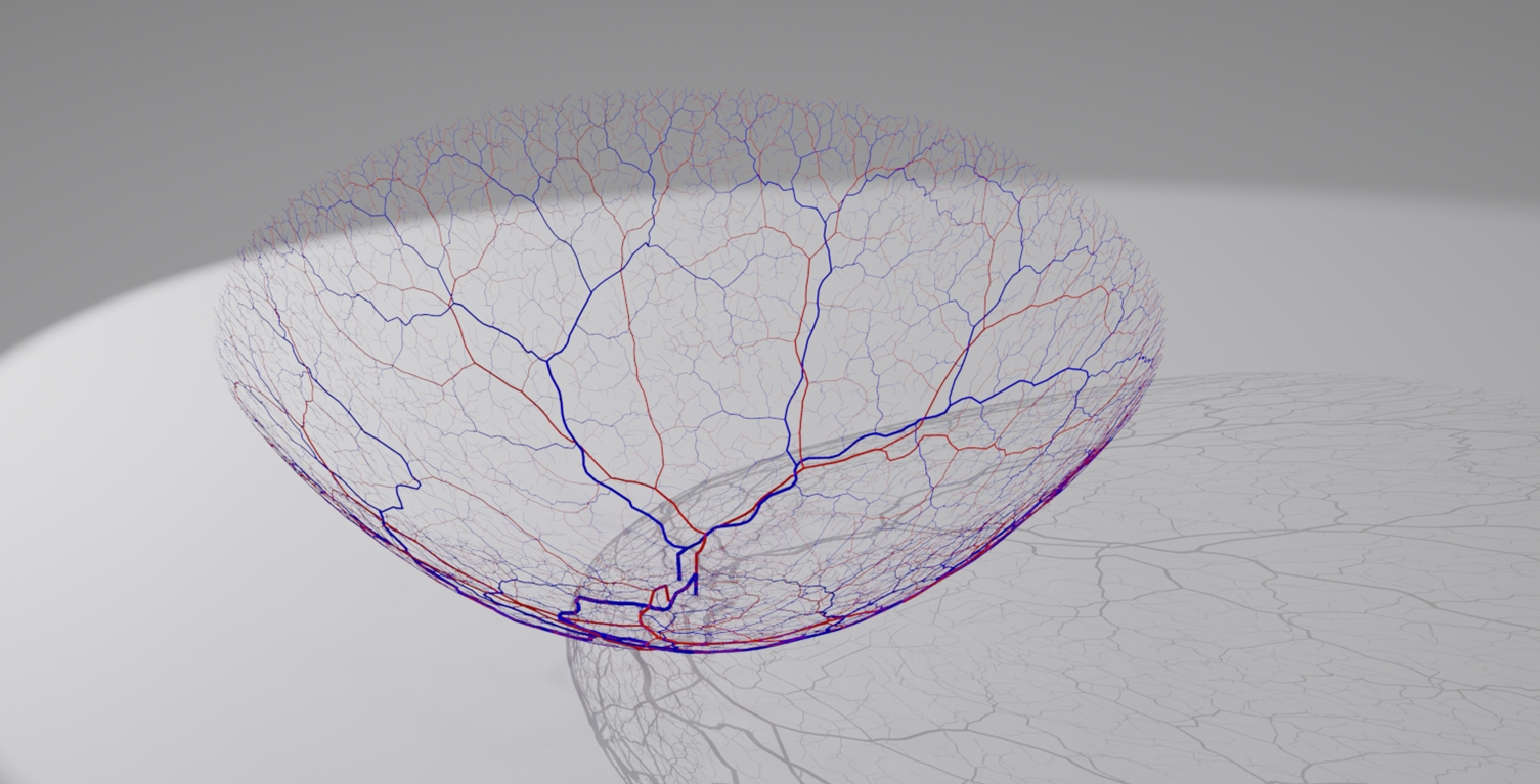 Retinal digital twins